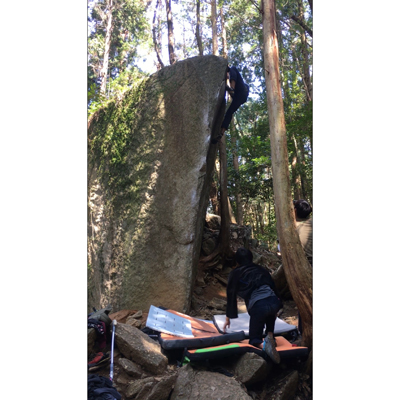 [画像]記事画像